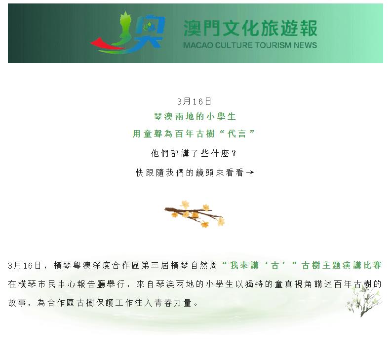 這些“童聲”獲獎啦！琴澳60名萌娃同場競技，為古樹保護打call